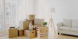 ErrorArticleLengthReachLimit Emergency Moving Corp residential emergency moving moving movers foreman