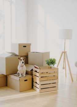 InternationalMovingApplianceChecklist Emergency Moving Corp residential emergency moving moving movers foreman